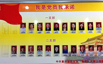 918博天娱乐集团党委开展党员承诺活动