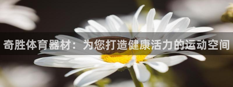 尊龙凯时城游戏官网：奇胜体育器材：为您打造健康活力的