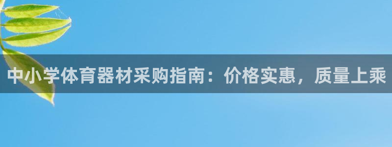 尊龙现金：中小学体育器材采购指南：价格实惠，质量上乘