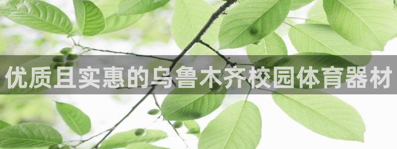 尊龙 ag：优质且实惠的乌鲁木齐校园体育器材